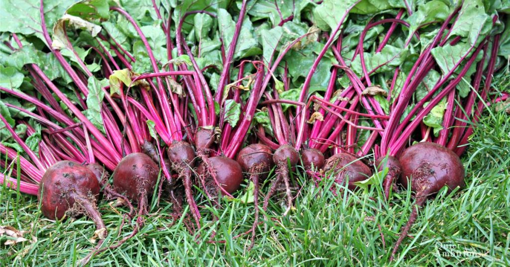 Beets