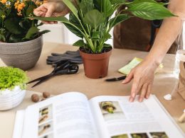 Best Gardening Books for Plant Lovers