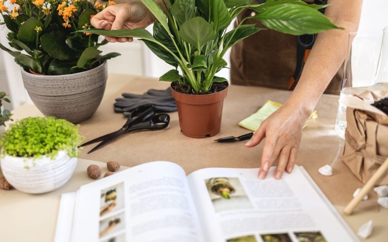 Best Gardening Books for Plant Lovers