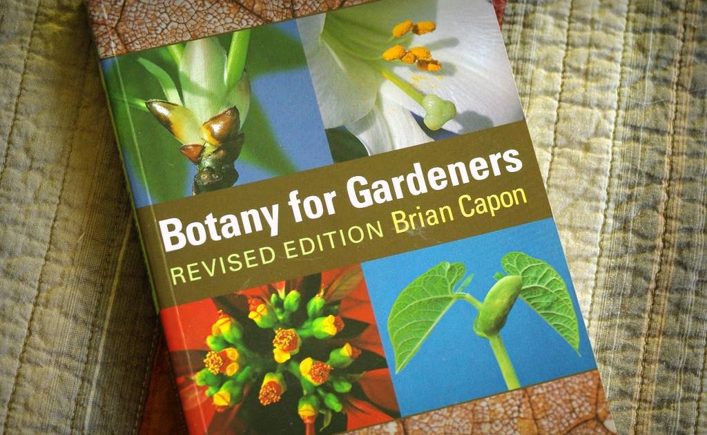 Botany for Gardeners by Brian Capon