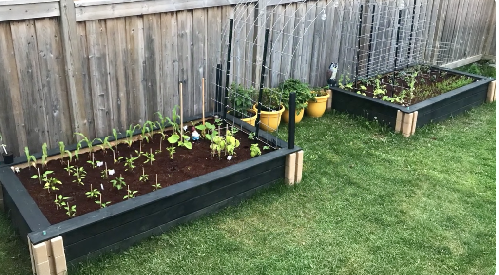 Brick Raised Garden Beds with Arched Trellis