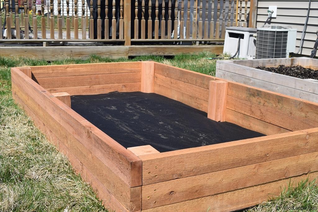 Build a Raised Garden Bed