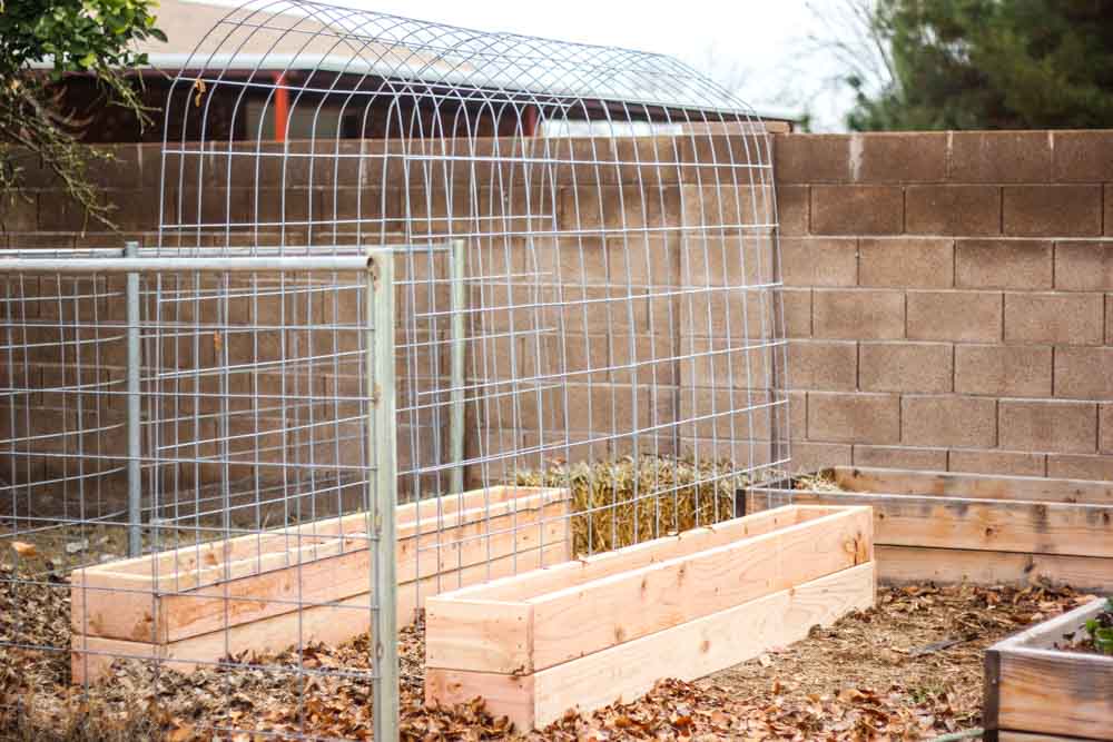 Combination Raised Garden Box and Trellis