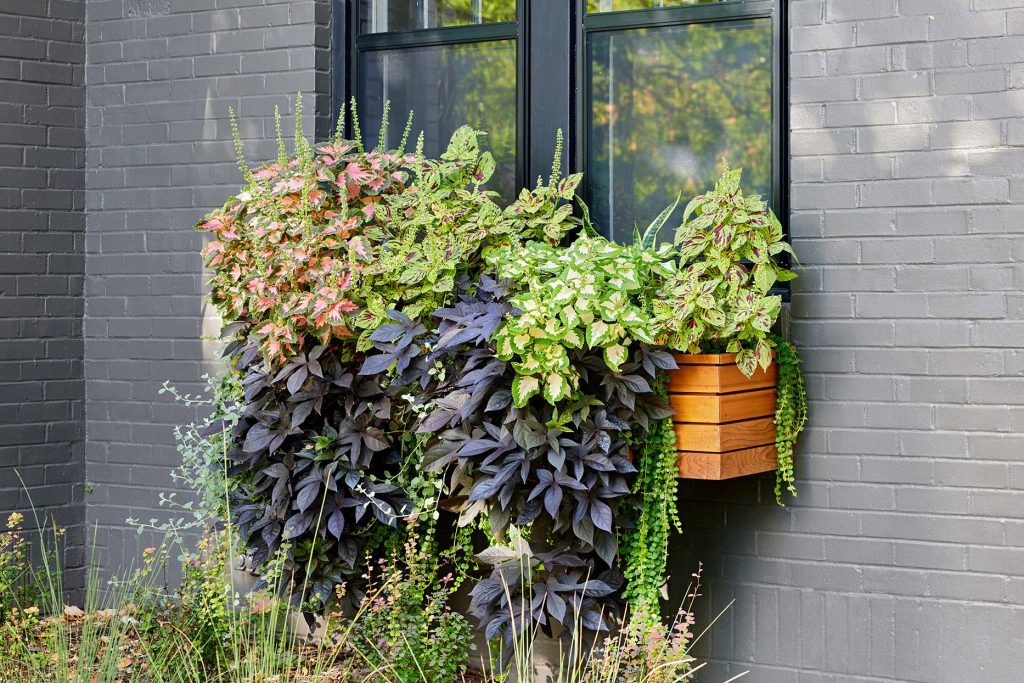 Create a Window Box