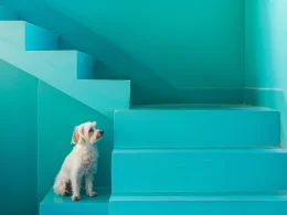 Creative Stair Painting Ideas