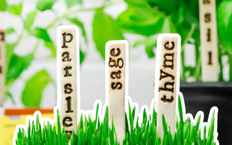 DIY Plant Markers: Easy and Affordable Tutorial