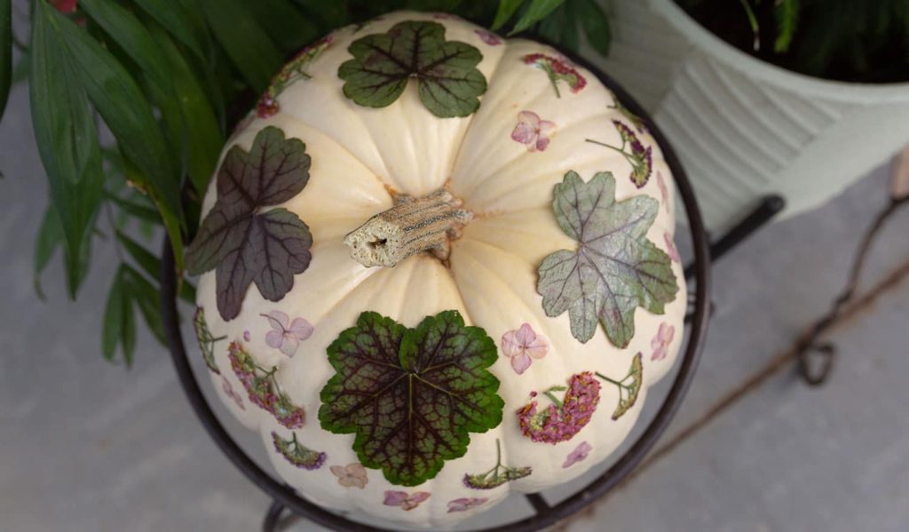 Decorating Tips for Your Pressed Flower Pumpkin