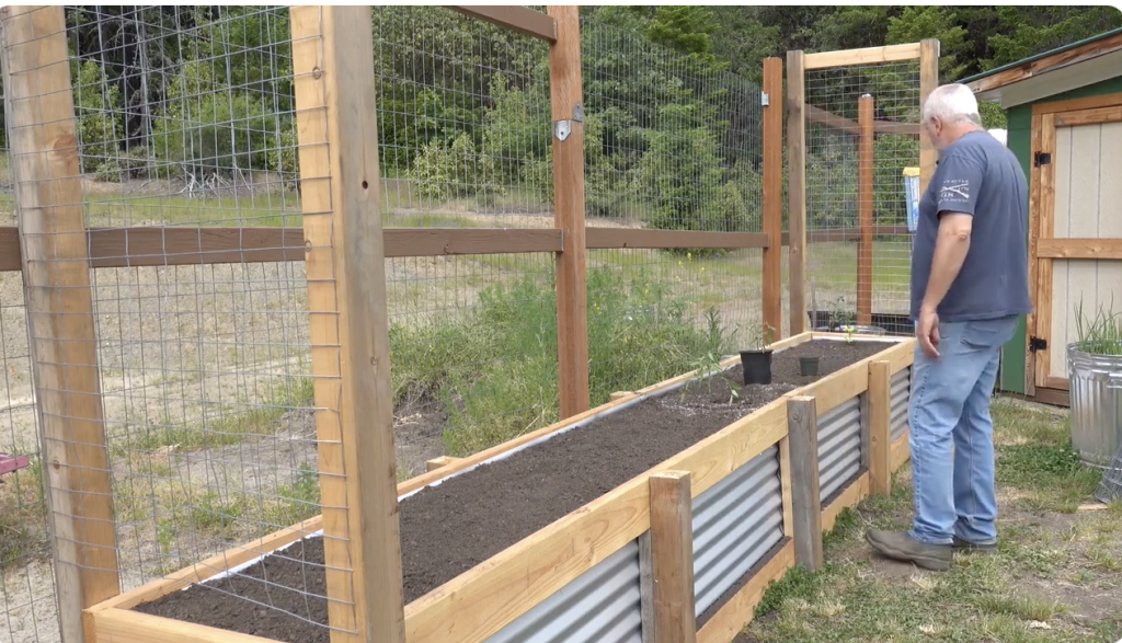 Galvanized Raised Garden Bed and Trellis