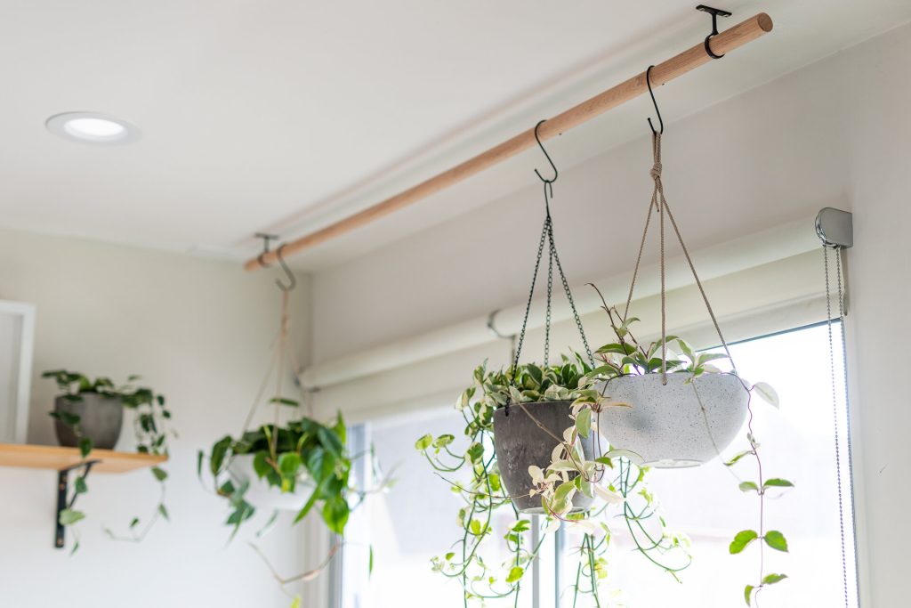 Hang Plants from the Ceiling