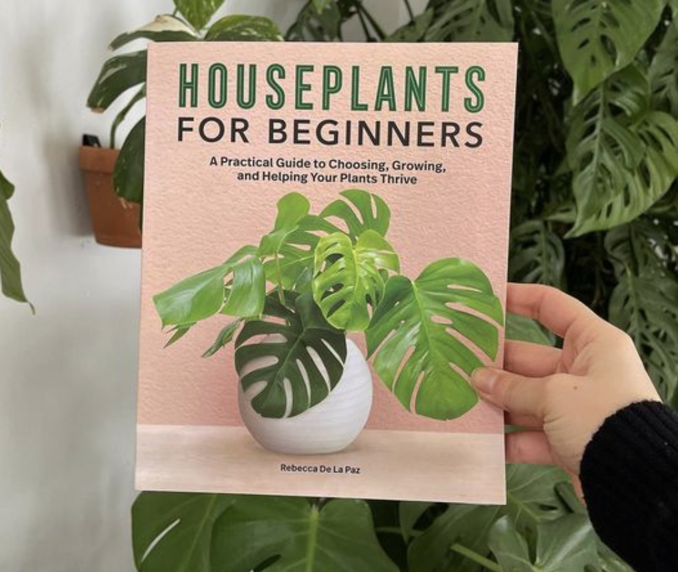 Houseplants for Beginners by Rebecca De La Paz