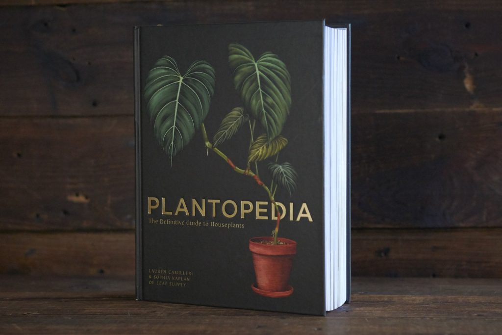 Plantopedia The Definitive Guide to Houseplants by Lauren Camilleri