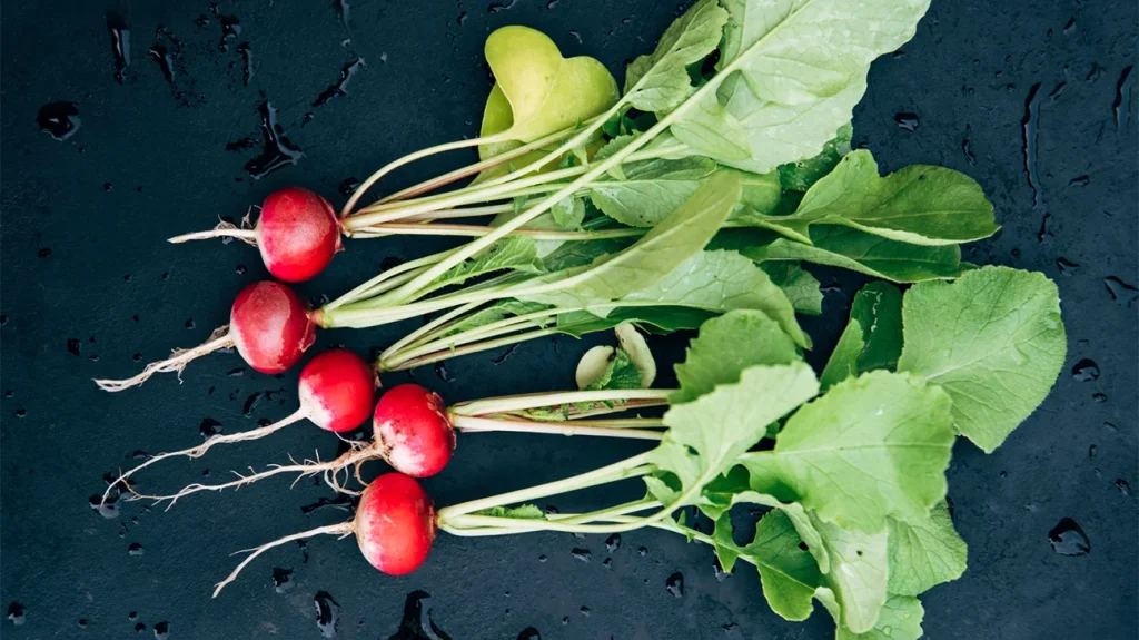 Radishes