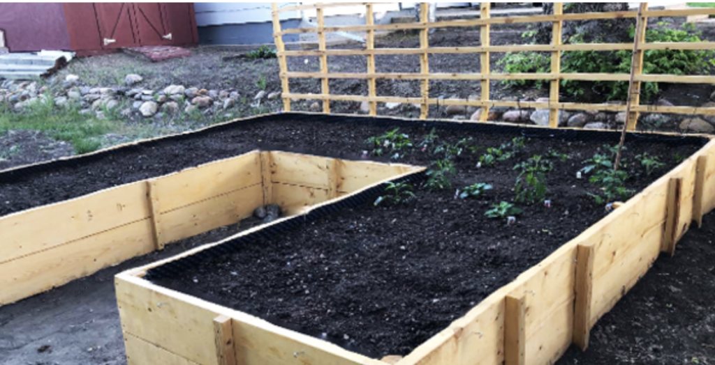 Raised Garden Bed with Trellis