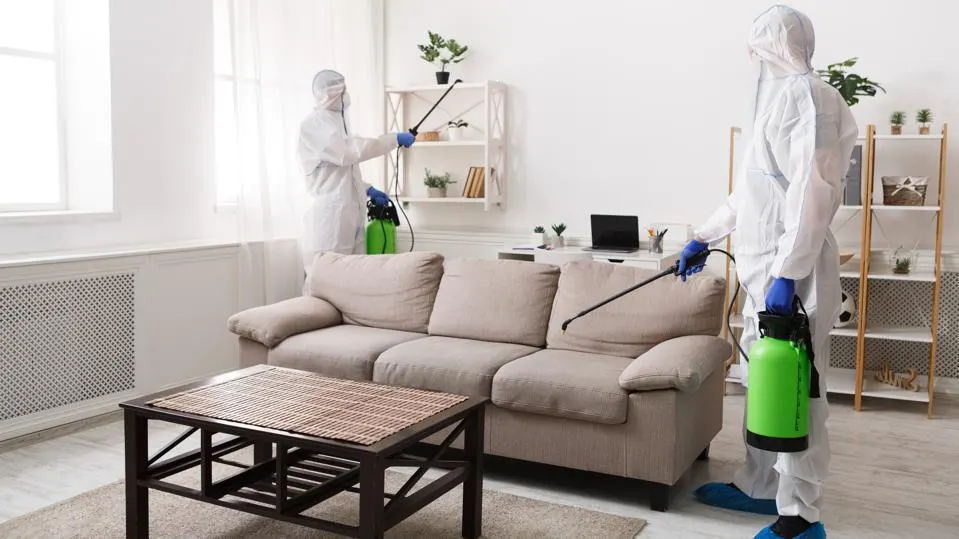 Regular Home Maintenance: Preventing Pest Infestations