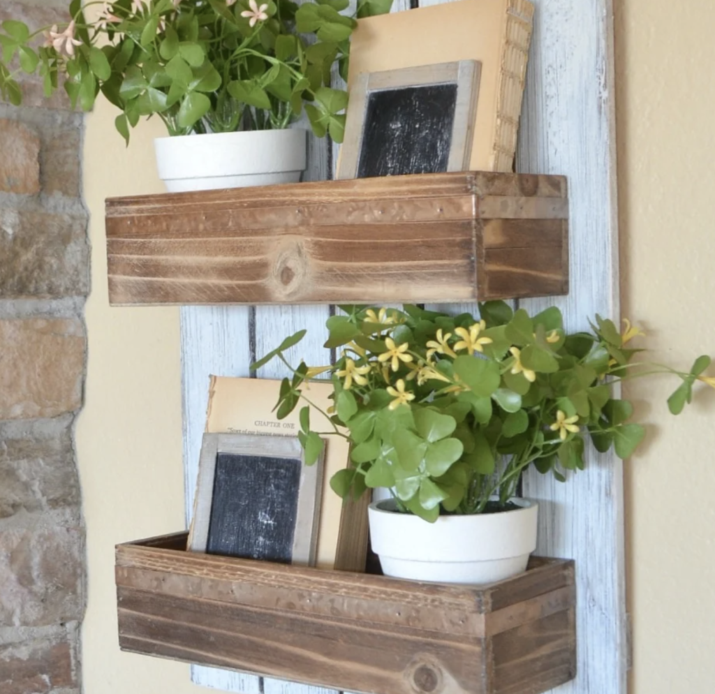 Selecting Suitable Plants for Your DIY Wall Planter