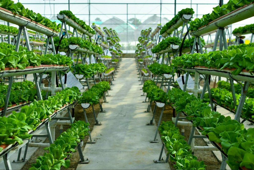 Vertical Farming and Agriculture