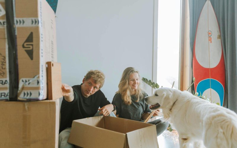 Moving With Pets? How to Make Packing Easier for Your Furry Friends