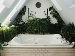 Wellness at Home: How Indoor Plants Can Improve Your Daily Life