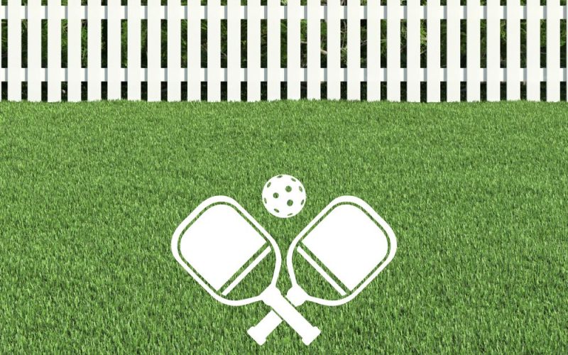 Can You Make a Pickleball Court in Your Backyard? Things to Consider