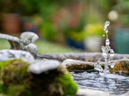 How to Choose the Right Water Feature for Your Garden: Expert Tips