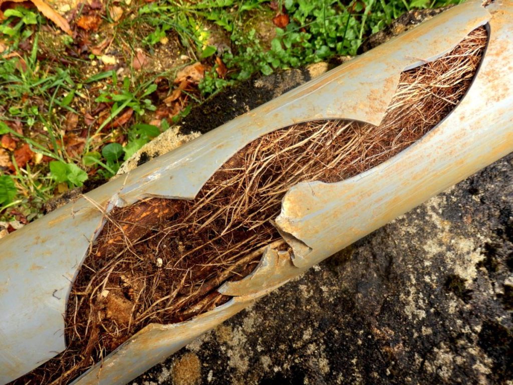 Causes of a Sewer Line Break