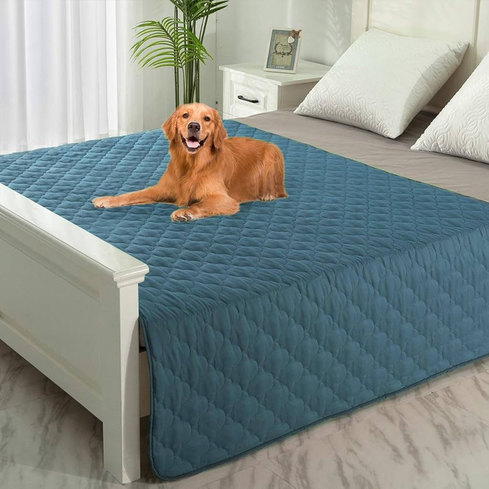 Comfortable Pet Beds and Rugs