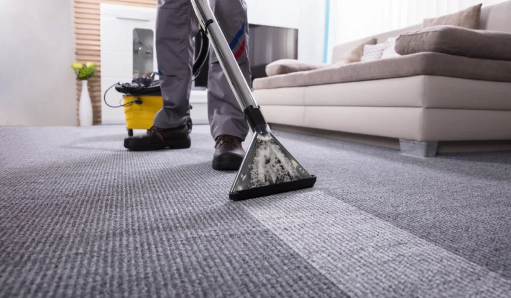 DIY Carpet Cleaning Tips