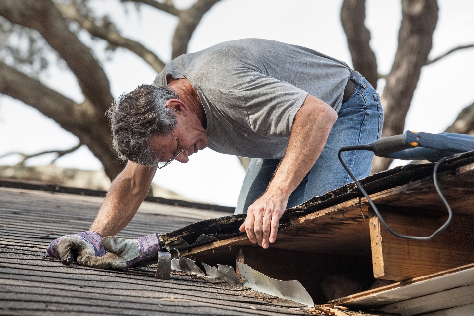 DIY Roof Repair