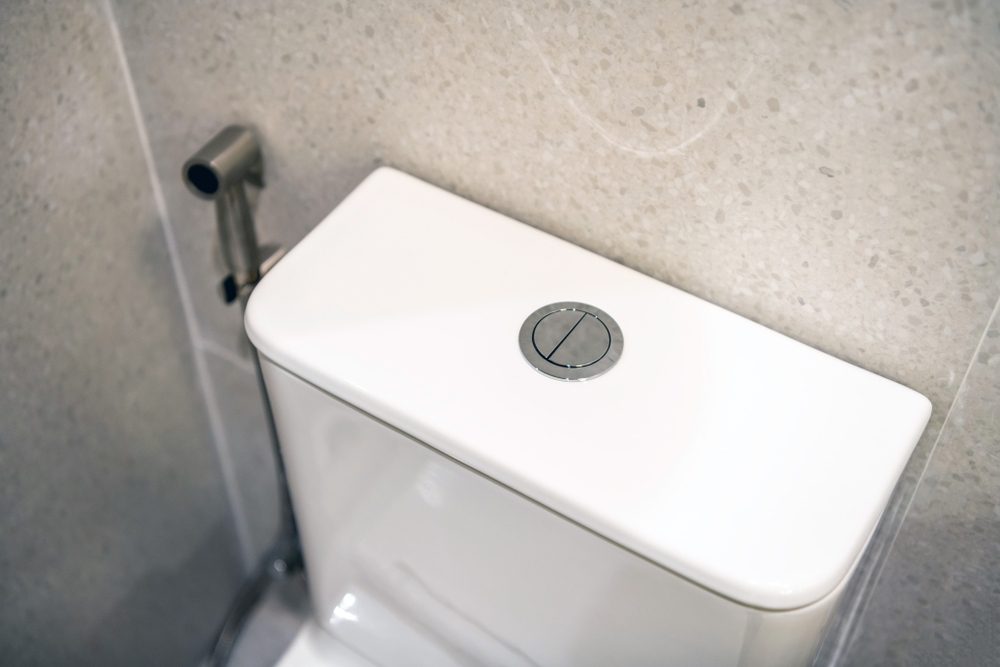 Disadvantages of Dual Flush Toilets