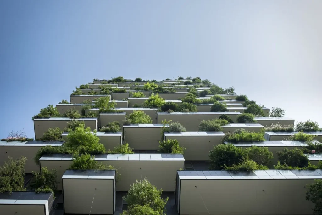 Embracing Sustainability; Eco-Friendly Building Practices