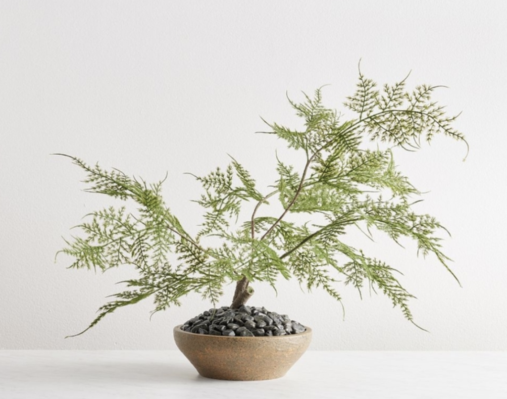 Faux Potted Asparagus Fern