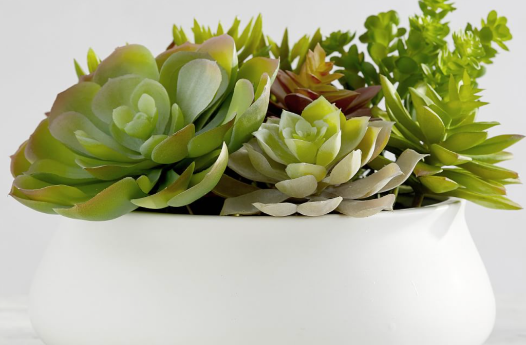 Faux Succulents