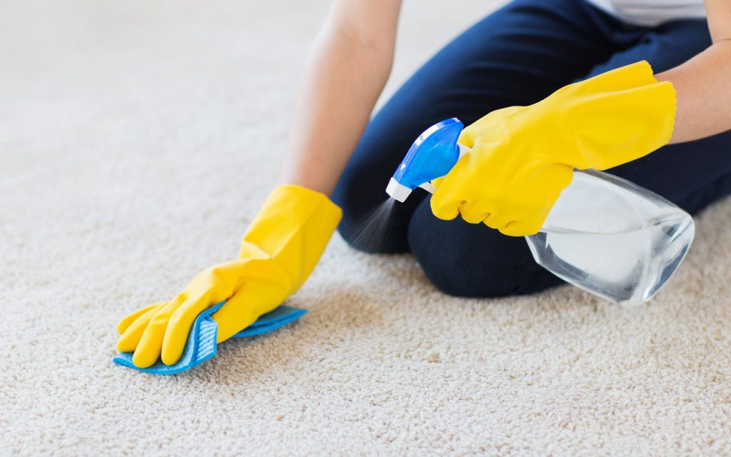 Maintaining Clean Carpets