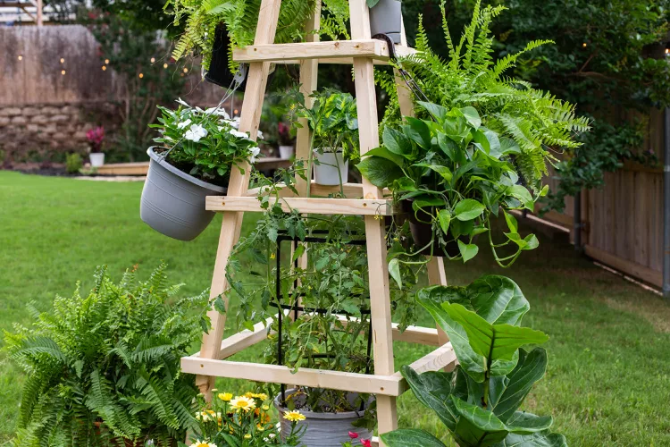 Maintenance Tips for Obelisk Trellis