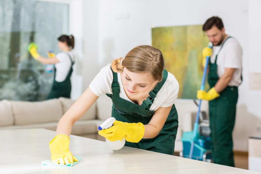 Professional Cleaning