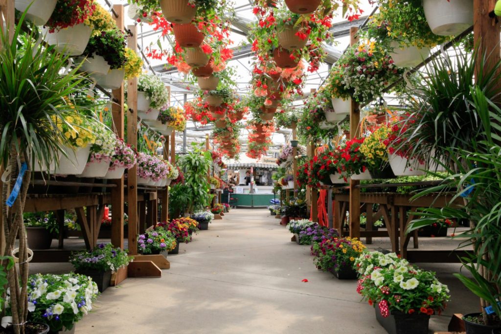 Salisbury Greenhouse