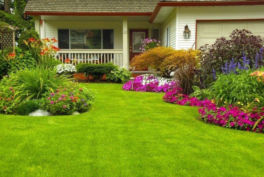 Smart Plant Choices and Landscaping