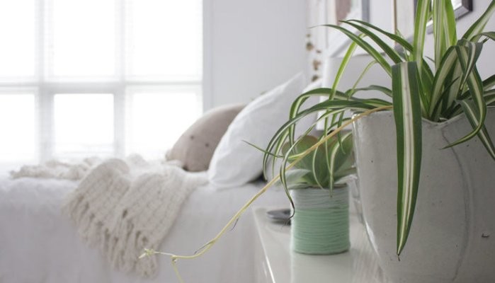 Spring Refresh: Renewing Your Space