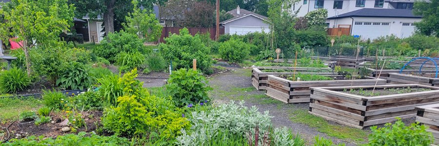 The Garden Corner