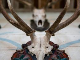 The Subtle Art of Decorating With Hunting Trophies: 9 Tips