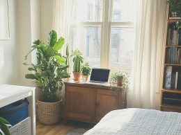 Top 5 Must-Have Items to Buy After Renting Your First Apartment