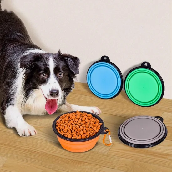 Types of Custom Dog Bowls