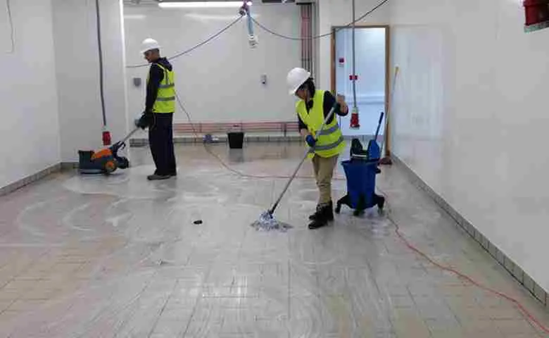 Understanding the Importance of Professional Cleaning