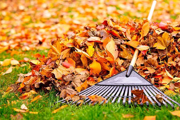 Fall Maintenance Checklist