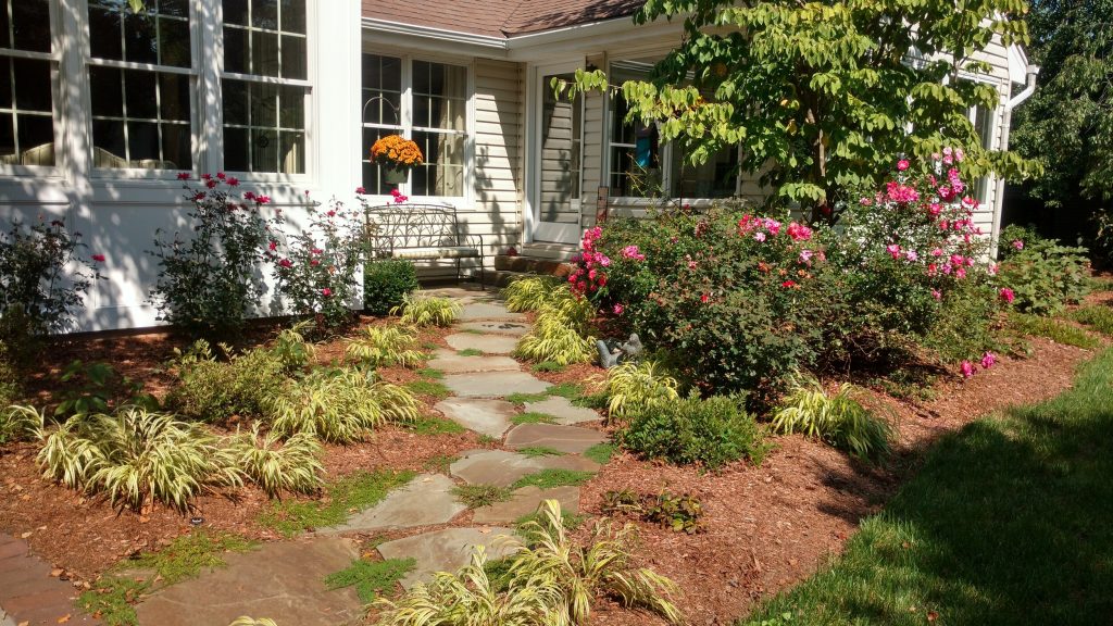 Benefits of Low-Maintenance Landscaping