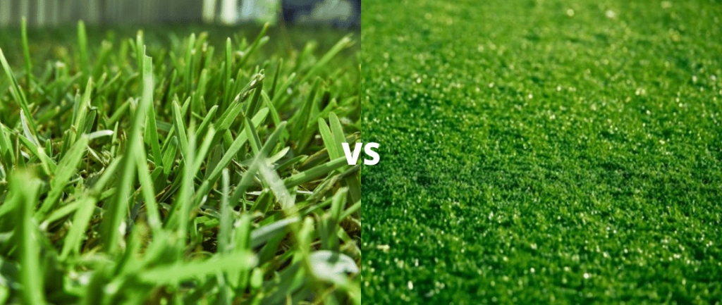 Environmental Impact: Synthetic vs. Natural Turf