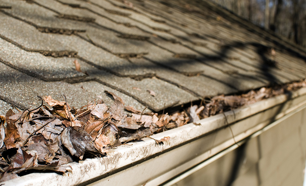 Flush Out the Remaining Dirt with Water