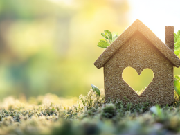 Home Improvements With Heart: 8 Ways to Renovate Your Space While Saving the Planet