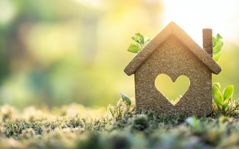 Home Improvements With Heart: 8 Ways to Renovate Your Space While Saving the Planet