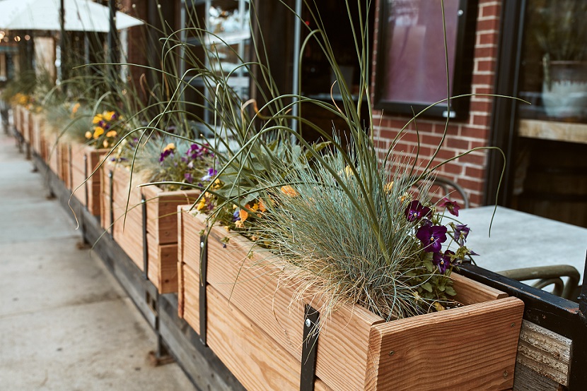 Planter Boxes